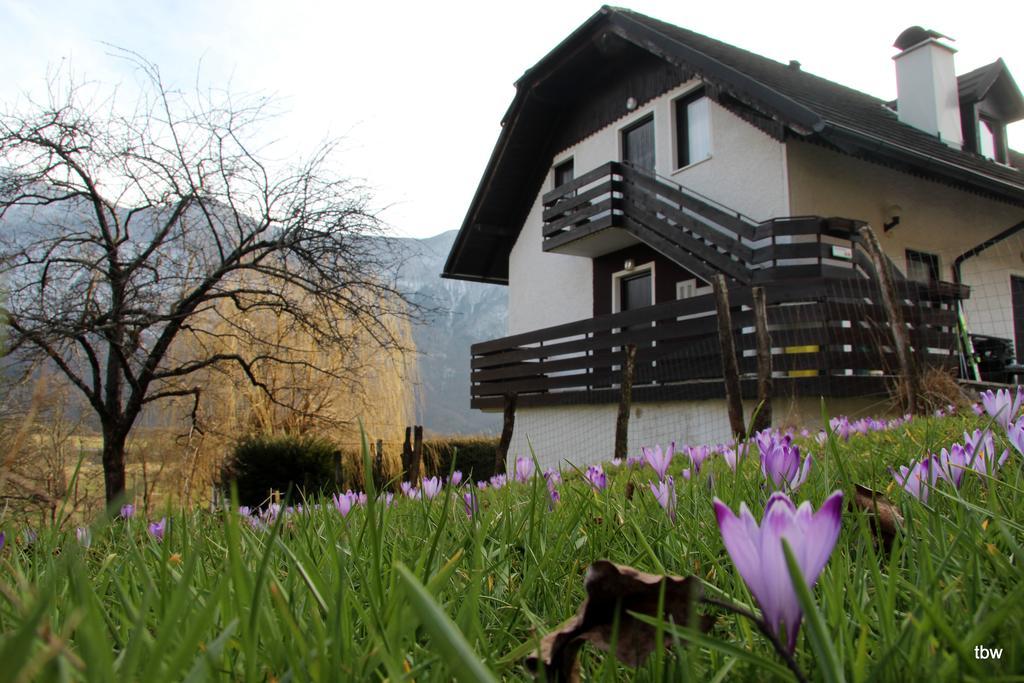 Apartments Tatjana Bovec Exteriér fotografie